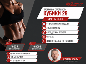 Программа стройности «Кубики 29»